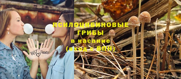 кристаллы Заводоуковск