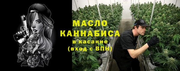 дмт Зеленодольск