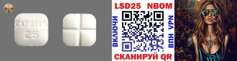 даркнет сайт Чегем Лсд 25 экстази ecstasy